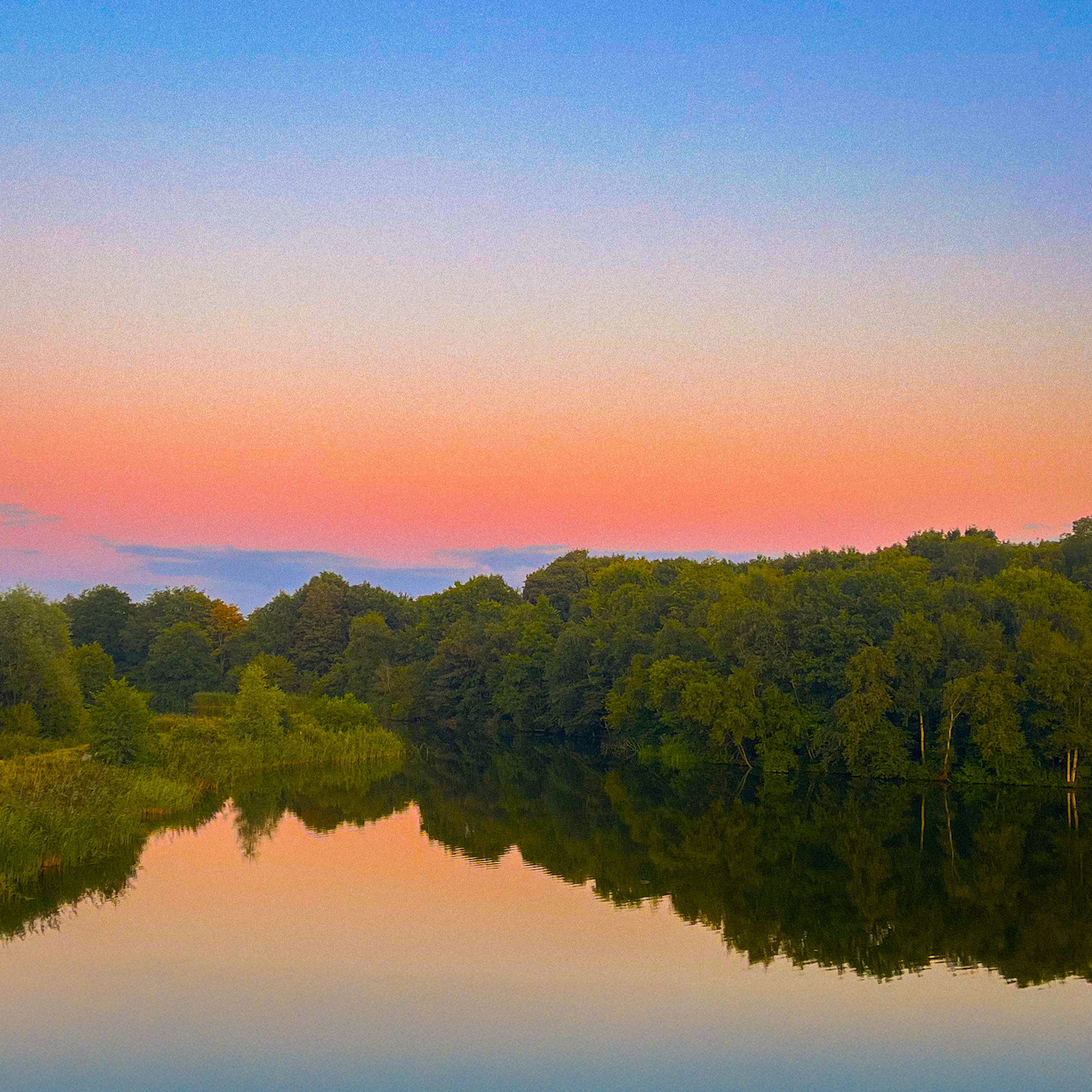 Cover art for the newest release